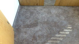 Bodenbeläge - Teppich